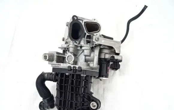 EGR valve