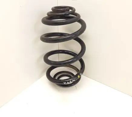 Renault Trafic III (X82) Rear coil spring