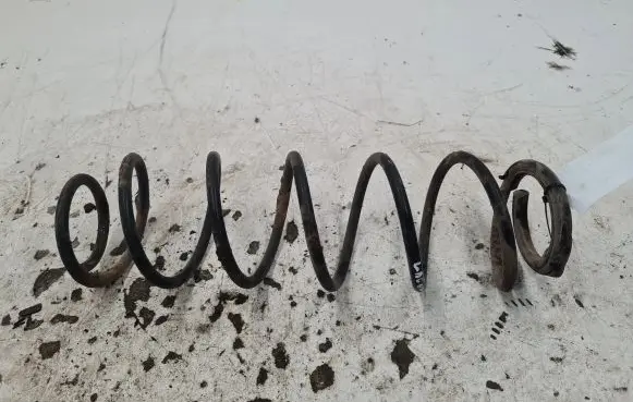 Renault Laguna II Rear coil spring