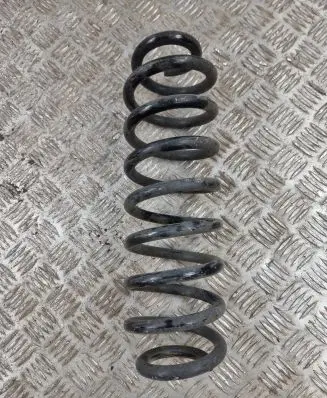 Toyota RAV 4 (XA50) Rear coil spring
