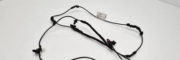 Ford Ecosport Other wiring loom CN1518812DB