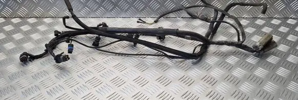 Chrysler Voyager Fuel injector wires 