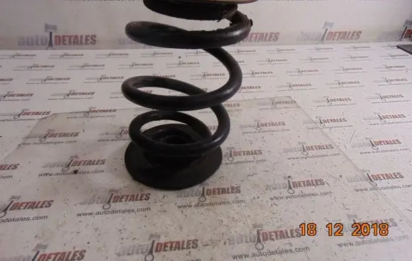 Rear coil spring