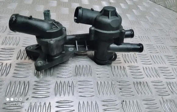 Thermostat/thermostat housing