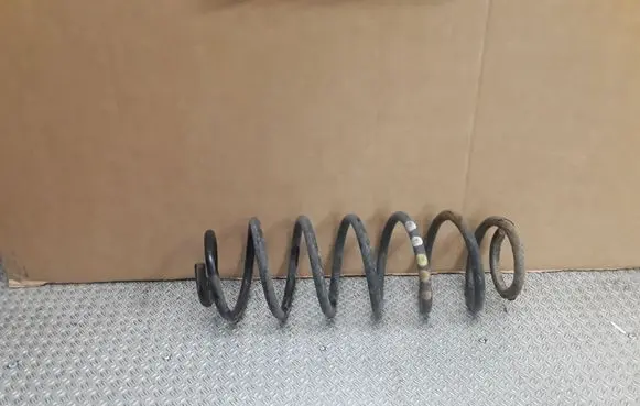 Rear coil spring