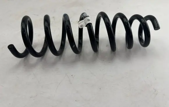 Rear coil spring