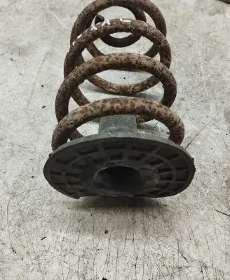 Opel Vectra C Rear coil spring
