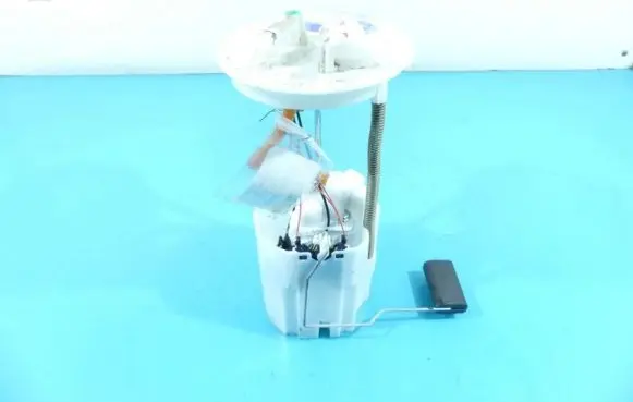 Suzuki SX4 S-Cross In-tank fuel pump 0580200363 IMPRK1293270