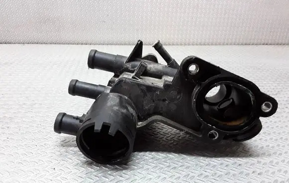 Thermostat/thermostat housing