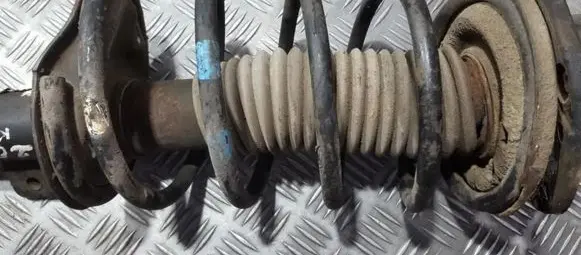 Peugeot 206 Front coil spring
