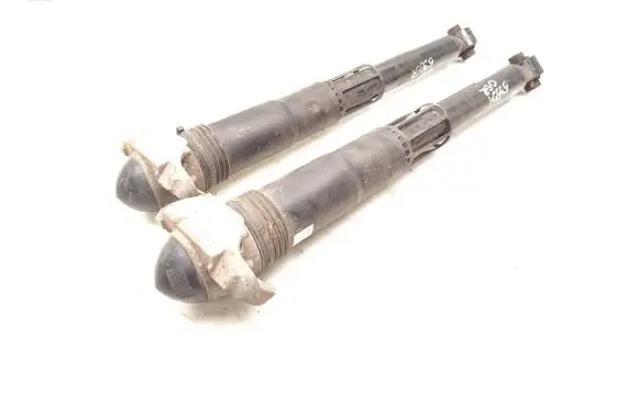 Volkswagen ID.3 Rear shock absorber/damper 1EA512011AD