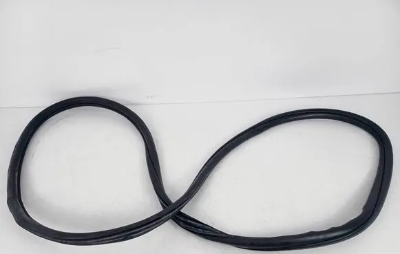 BMW 3 F30 F35 F31 Front door rubber seal 7303968