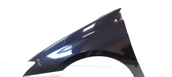 Renault Laguna III Fender