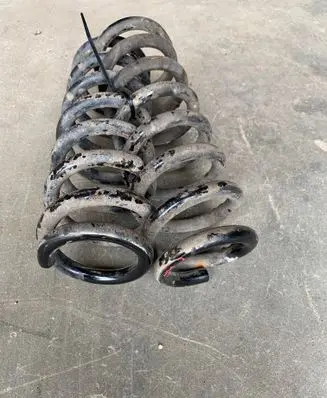 Rear coil spring