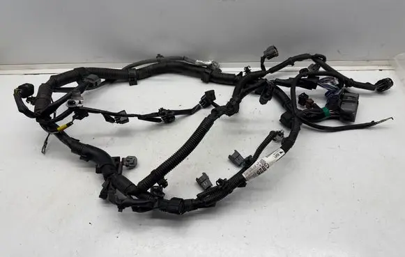 Engine installation wiring loom