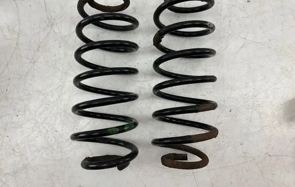 Rear coil spring