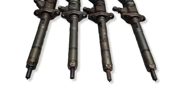 Citroen Berlingo Fuel injector S27649819 0445110259