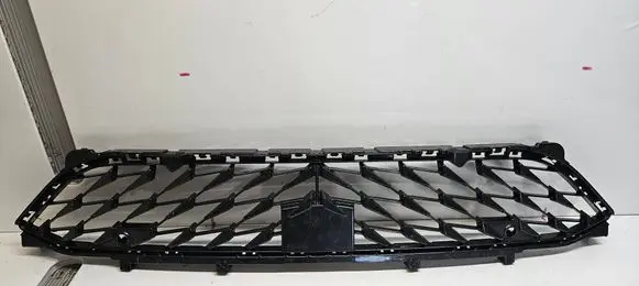 Cupra Born Front bumper lower grill 10E8853677