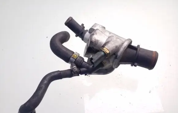 Thermostat/thermostat housing