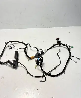 Land Rover Discovery Sport Front door wiring loom FK7214631 LR067067 FK72-14631-CFD