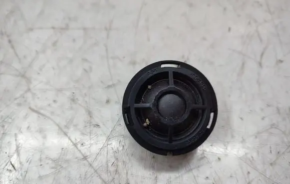 Front door high frequency speaker