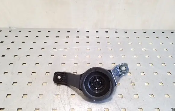 Toyota RAV 4 (XA30) Front door high frequency speaker 8616042120