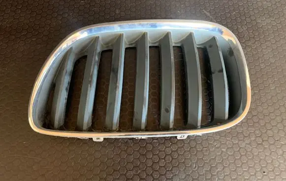 BMW X5 E53 Front grill 51137124815