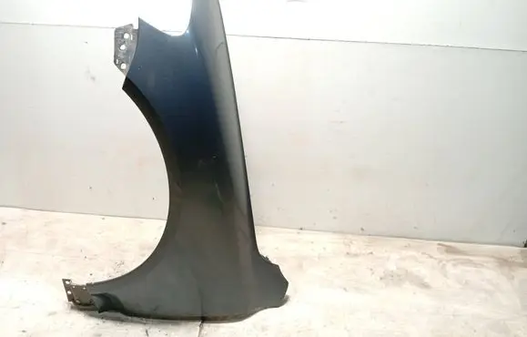 Fender