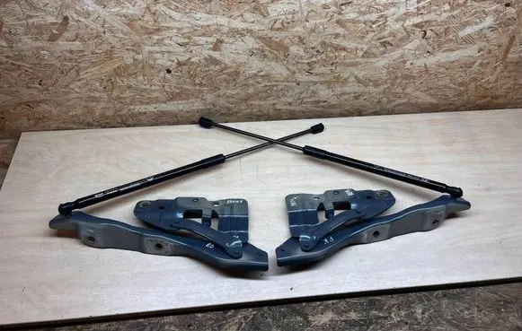 Hyundai Ioniq 5 Engine bonnet/hood hinges 