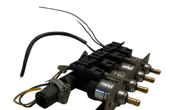 Volkswagen Phaeton LP gas injector 67R016409 110R005410