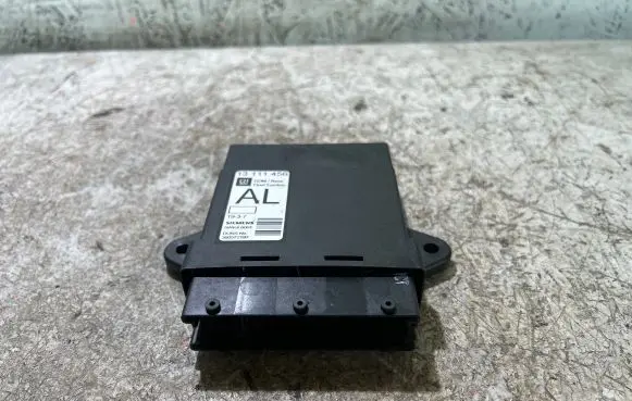 Opel Signum Door control unit/module 13111456
