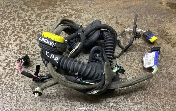 Renault Laguna III Front door wiring loom 241250102R 01328