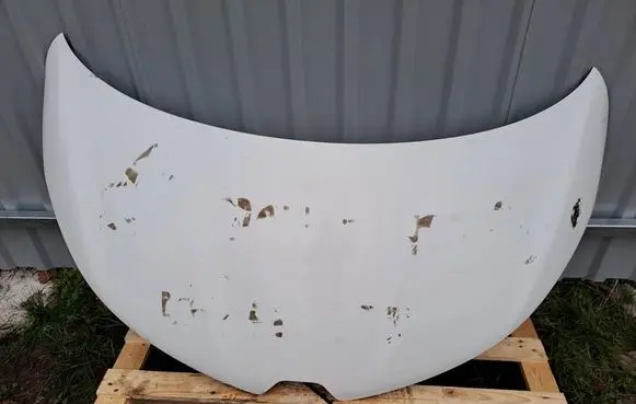 Renault Zoe Engine bonnet/hood