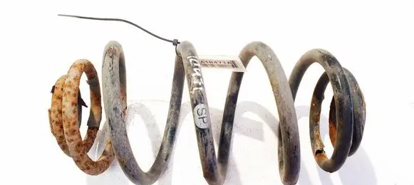 Opel Zafira B Rear coil spring 