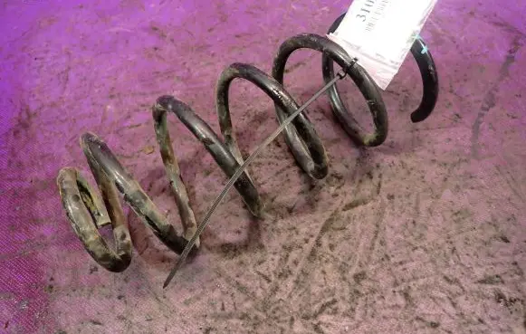 Rear coil spring