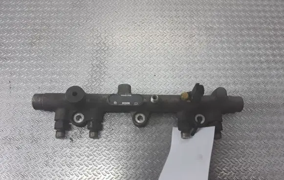 Peugeot 406 Fuel main line pipe 0445214010