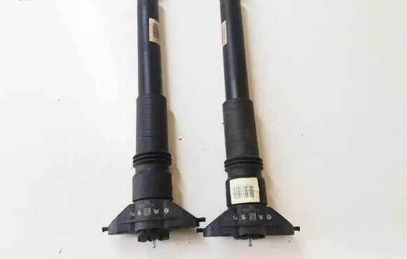Citroen C4 III e-C4 Rear shock absorber/damper 9847556880
