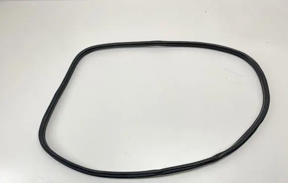Mini Cooper Countryman F60 Rear door rubber seal (on body) 7390112