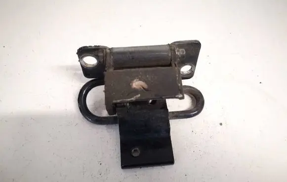 Rear door lower hinge