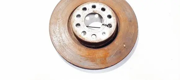 Volkswagen PASSAT B6 Front brake disc ventiliuojamas