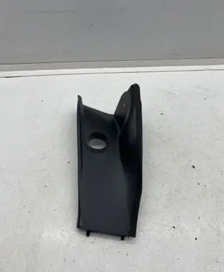 Rear/tail light trim molding