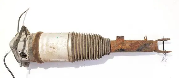 Volkswagen Phaeton Rear shock absorber/damper 3d0616001f2