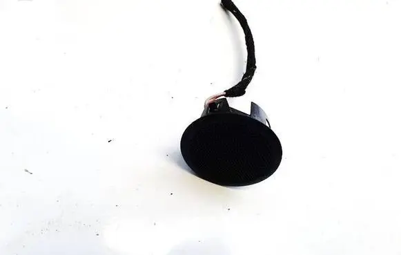 Front door speaker