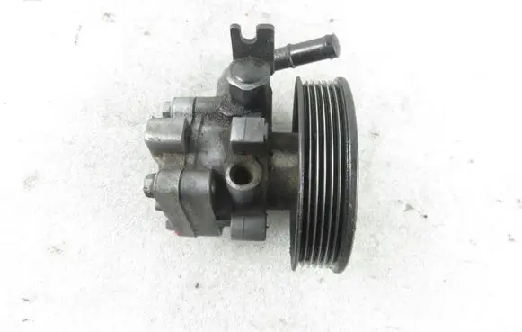 Hyundai Santa Fe Power steering pump 