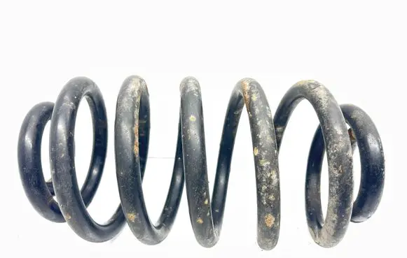 Rear coil spring