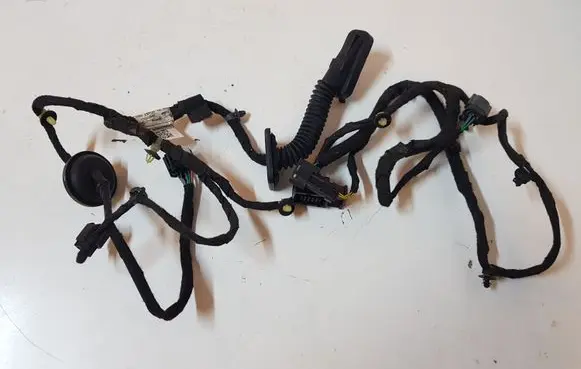 Rear door wiring loom