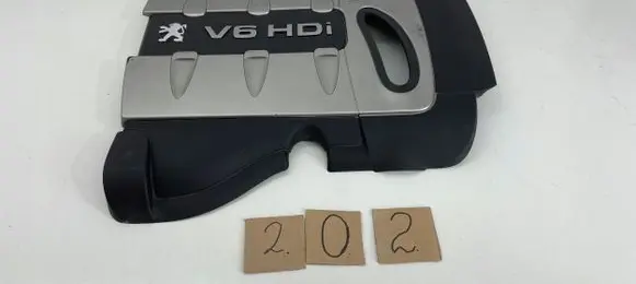 Peugeot 607 Engine cover (trim) F09702171000