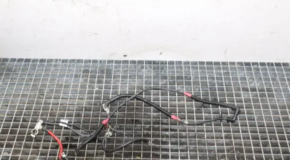 Mini Cooper Countryman R60 Positive cable (battery) 61236697