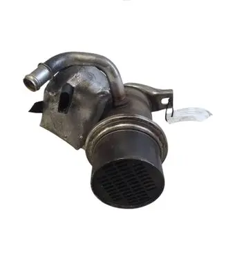 EGR valve cooler