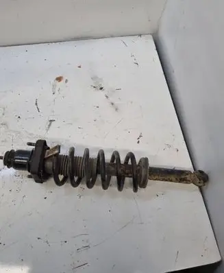 Dodge Journey Rear shock absorber with coil spring 1242AB